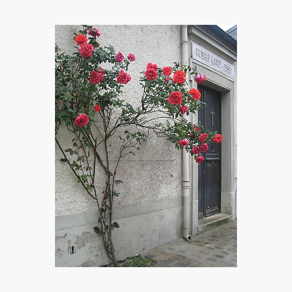 Greeted with Roses Photographic Print