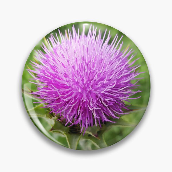 Item preview, Thistle designed and sold by PressTees.