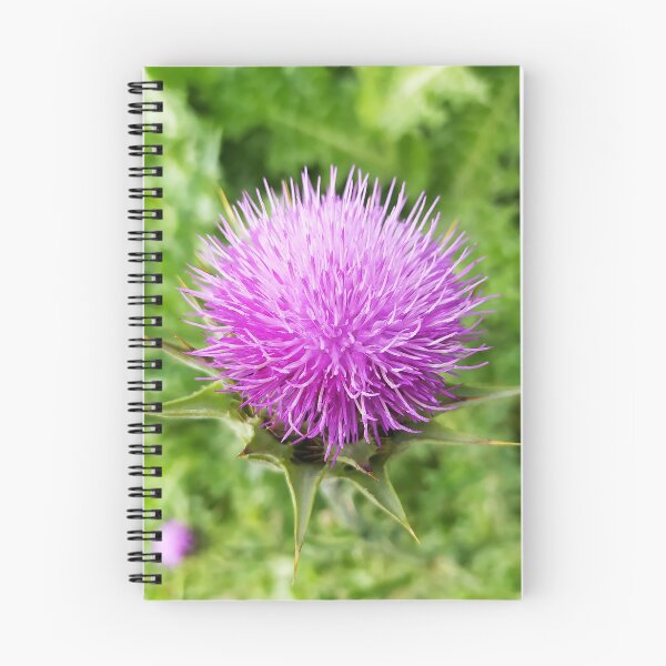 Item preview, Thistle designed and sold by PressTees.