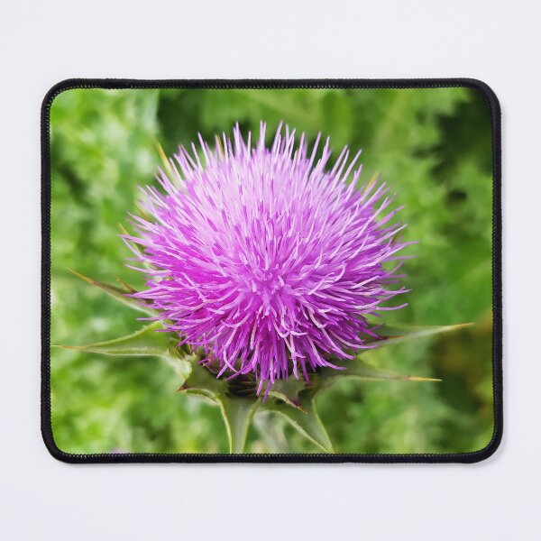 Item preview, Thistle designed and sold by PressTees.