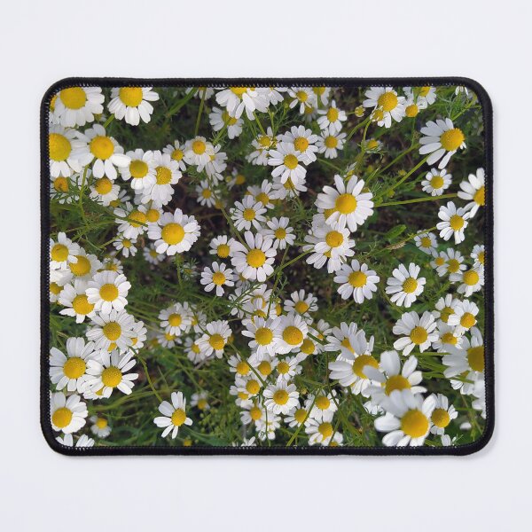 Item preview, Chamomile designed and sold by PressTees.