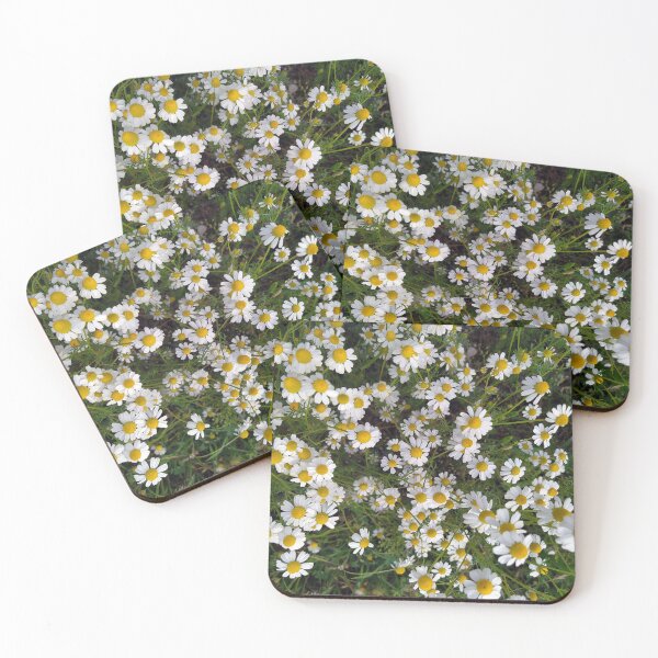 Item preview, Chamomile designed and sold by PressTees.