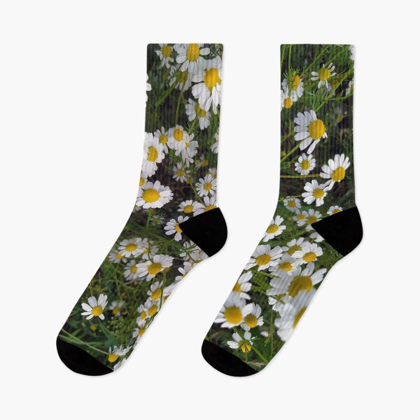 Item preview, Chamomile designed and sold by PressTees.