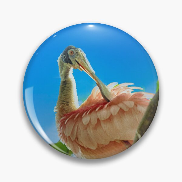 Item preview, Roseate Spoonbill designed and sold by Kathy Weaver.
