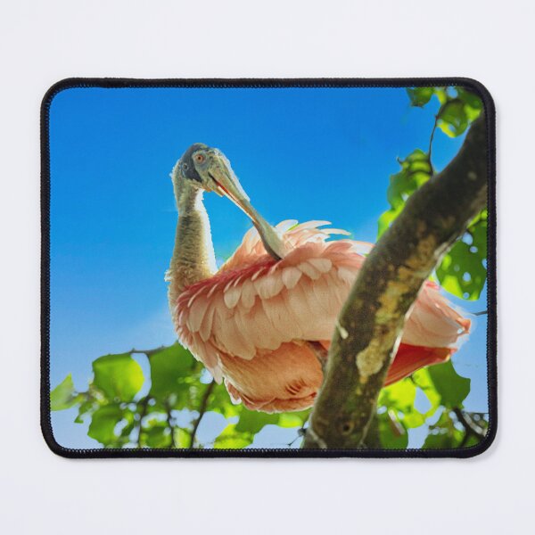 Item preview, Roseate Spoonbill designed and sold by Kathy Weaver.