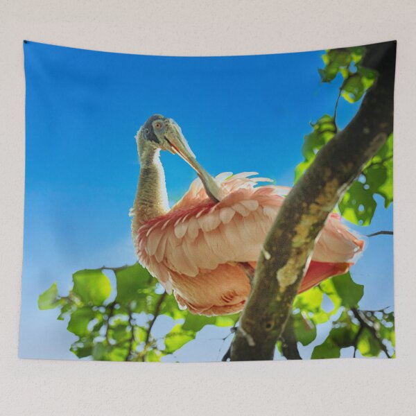 Item preview, Roseate Spoonbill designed and sold by Kathy Weaver.