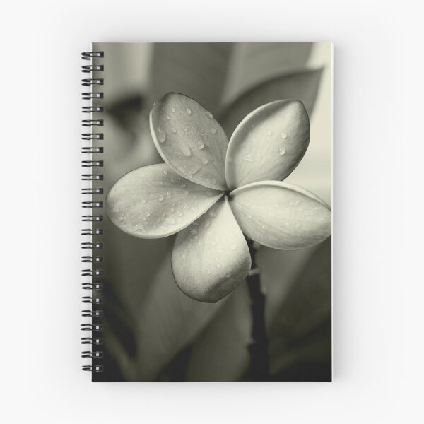 Item preview, Frangipani ~ Monochrome ~ designed and sold by Evita.