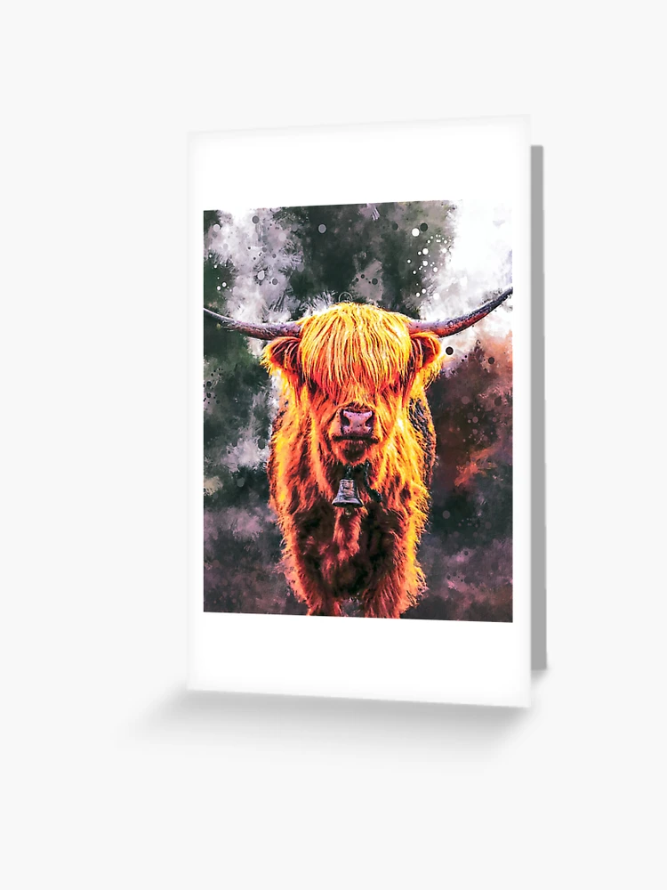 Adorable Scottish Highland Cow / Calf - Stock Photo Print