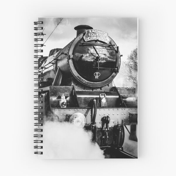 Item preview, Steam train in Momochrome designed and sold by Ian Lane.