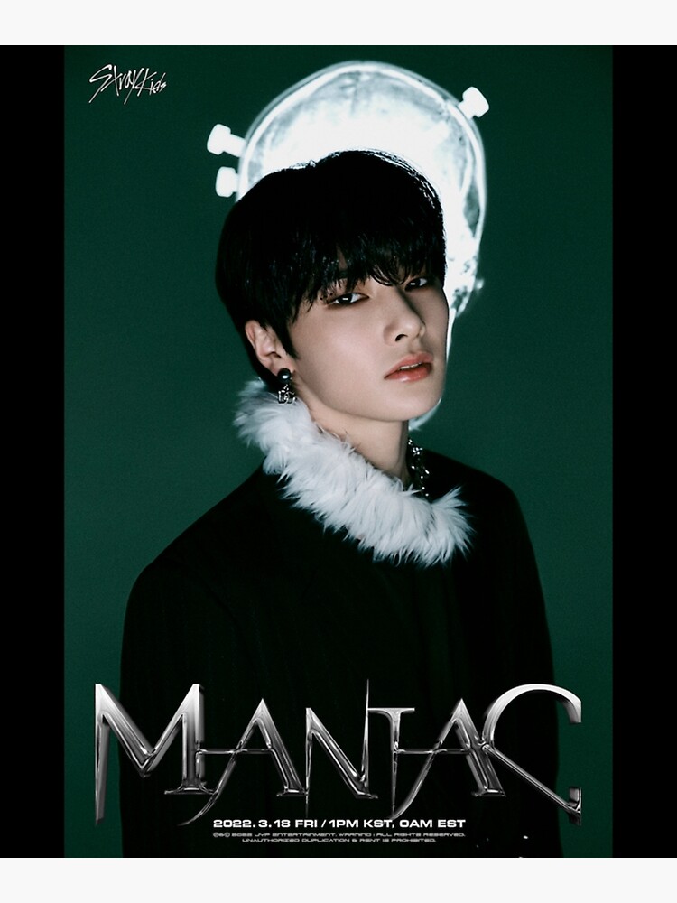 Jeonjin Stray Kids SKZ Oddinary kpop skzoo maniac comeback