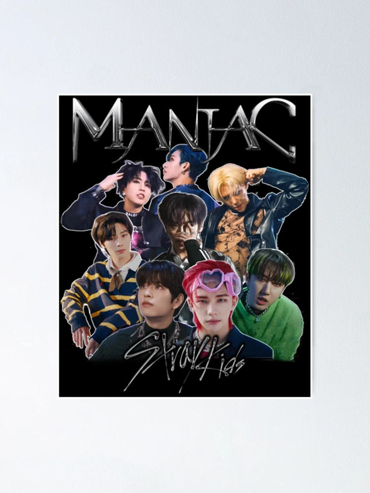 straykids 直筆サイン入り ポスター CIRCUS maniac straykids 直筆サイン入り ポスター CIRCUS maniac