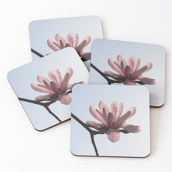 Item preview, A Single Magnolia Blossom - Happy Springtime Floral designed and sold by Georgia Mizuleva.