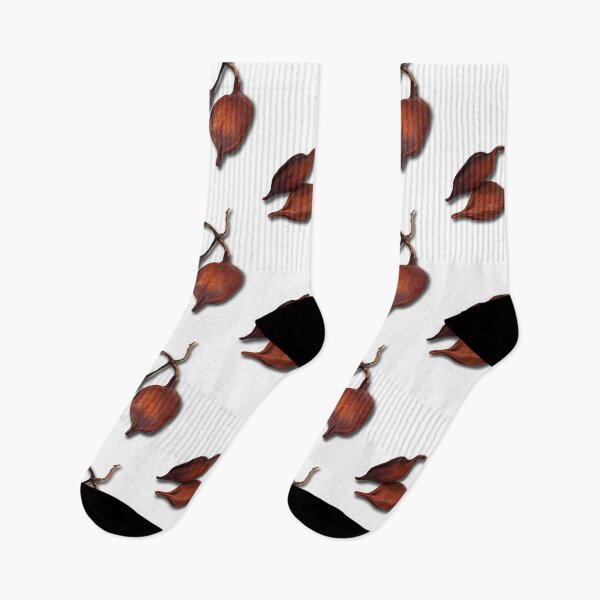 Item preview, Closeup of Brachychiton rupestris fruits on white background. Australian flame tree seeds. designed and sold by janesg.