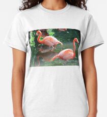 American Flamingoes Classic T-Shirt