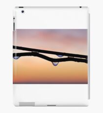 Dew drops iPad Case/Skin