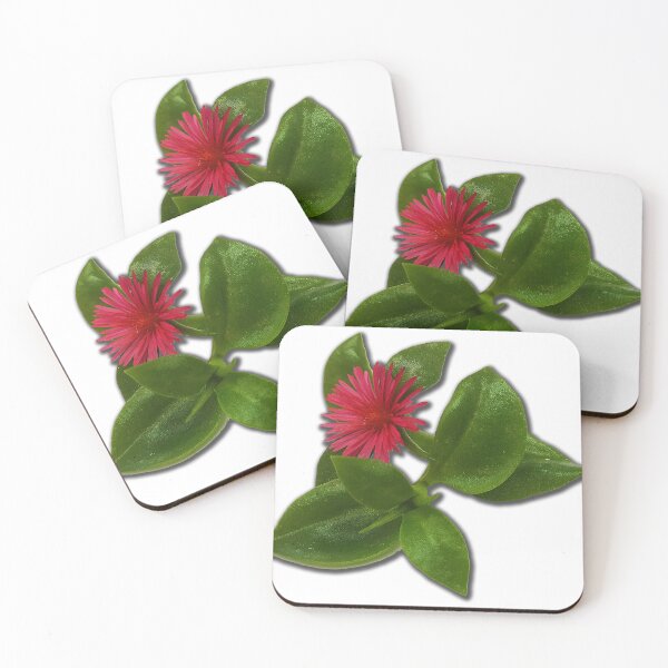 Item preview, Aptenia cordifolia is a species of succulent plant in the iceplant family known by the common names heartleaf iceplant. designed and sold by janesg.