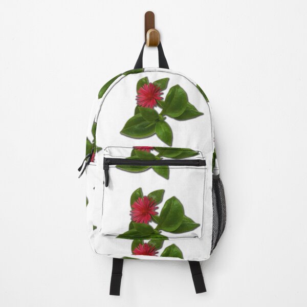 Item preview, Aptenia cordifolia is a species of succulent plant in the iceplant family known by the common names heartleaf iceplant. designed and sold by janesg.