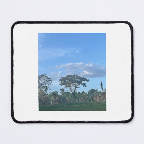 Item preview, Acacia tree with sky designed and sold by Eckaa.