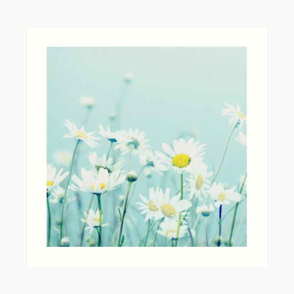 Dancing Daisies Art Print