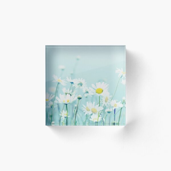 Dancing Daisies Acrylic Block