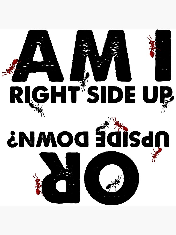 Am I Right Side Up Or Upside Down Poster For Sale By Nethanlie02 Redbubble 9605