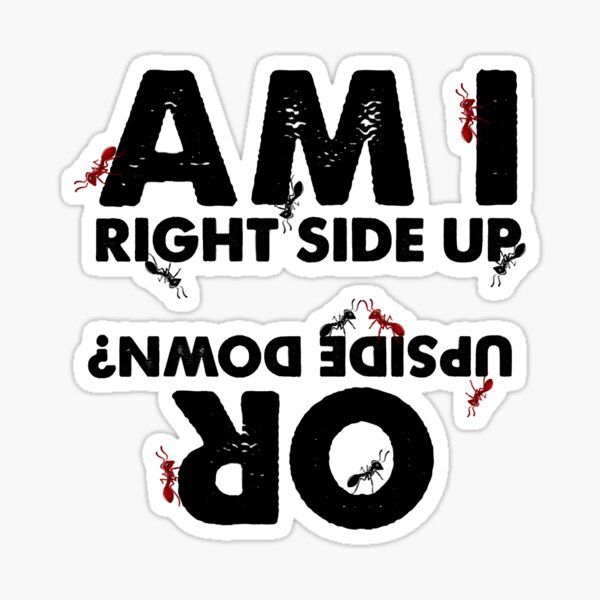 am-i-right-side-up-or-upside-down-sticker-by-nethanlie02-redbubble