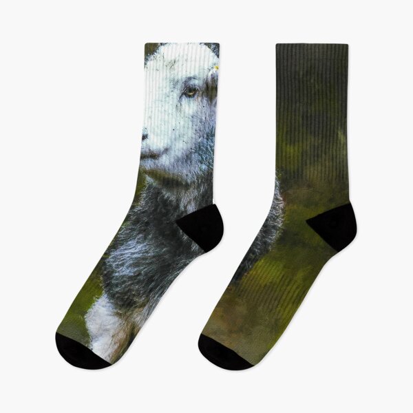 Item preview, Herdwick Sheep Oil Paint, Grey And White Herdwick Sheep, Herdwick Wool Sheep, Fluffy UK Herdwicks Sheep designed and sold by Paintcorner.
