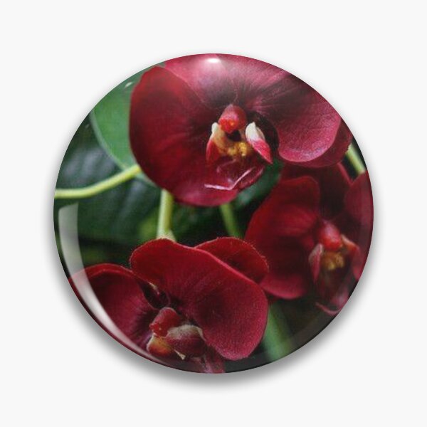 Item preview, Special Orchids designed and sold by FloranceR.