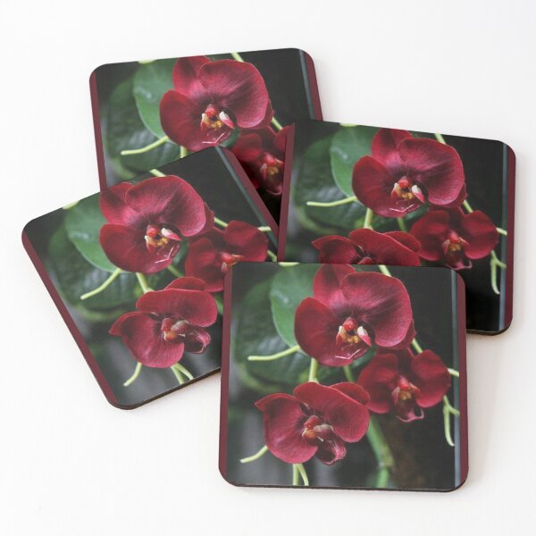 Item preview, Special Orchids designed and sold by FloranceR.