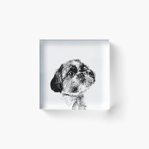 Aperçu de l'œuvre Stylo et encre de chien Shih Tzu chiot mignon créée et vendue par adriana-holmes.