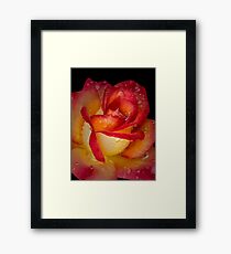 Scarlet and gold Framed Print