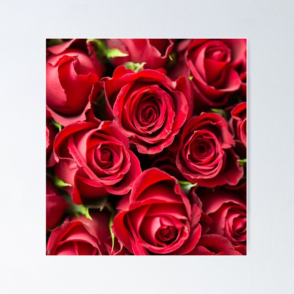 Item preview, Red roses designed and sold by Jaadueekala.
