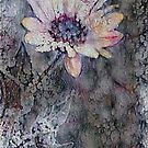 A Treasure Found by owlspook