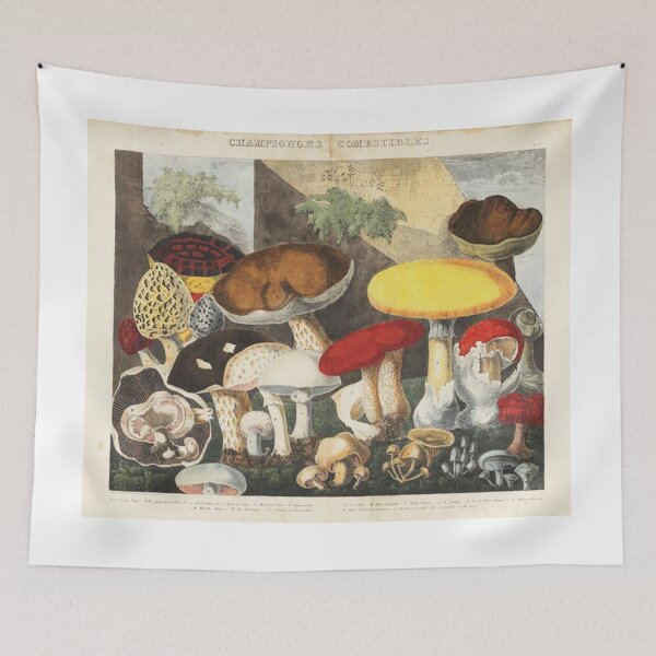 Item preview, Vintage art Mushrooms and Fungi  designed and sold by Vintage Designs +.