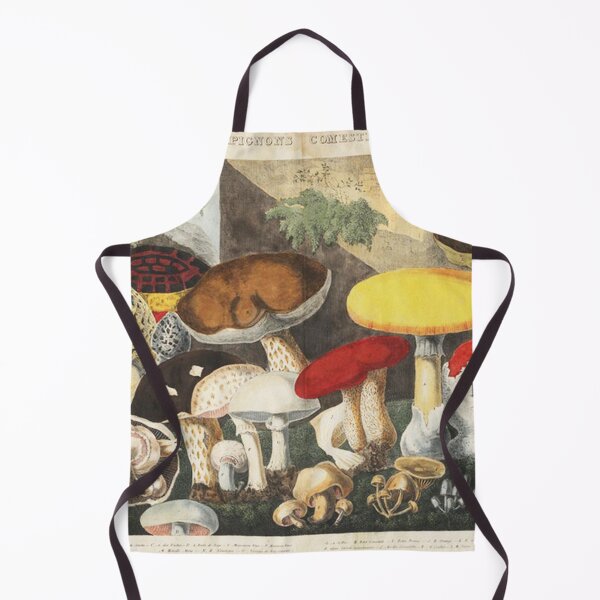Aperçu de l'œuvre Vintage art Mushrooms and Fungi  créée et vendue par Vintage Designs +.