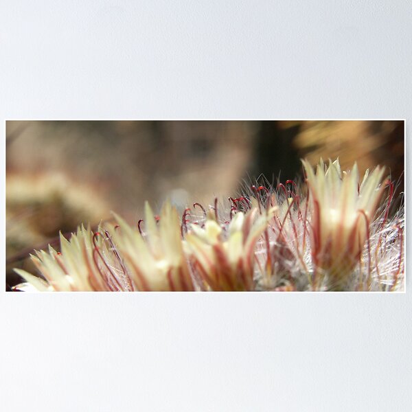 Item preview, Mini Stems designed and sold by Diana Symes.