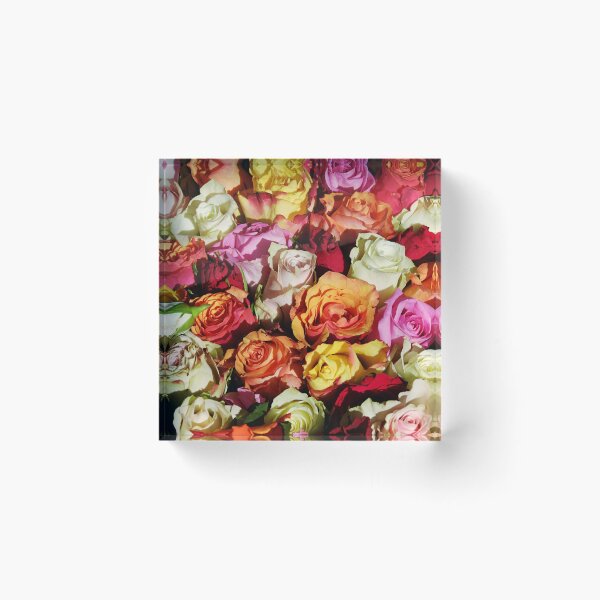 Item preview, Colourfull rose designed and sold by Jaadueekala.