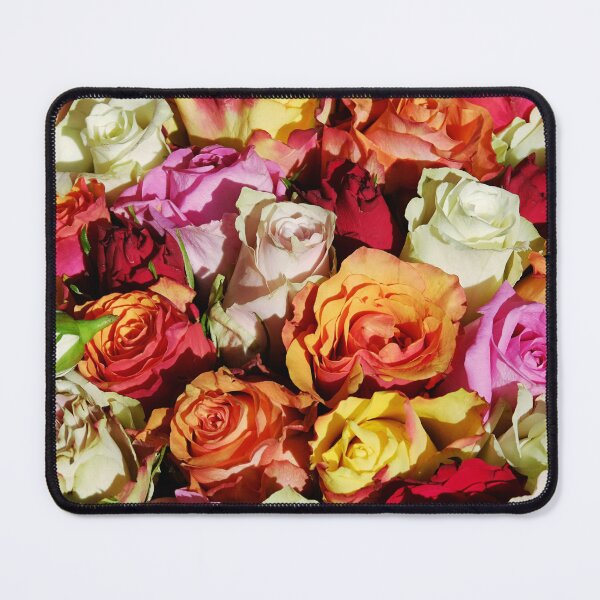 Item preview, Colourfull rose designed and sold by Jaadueekala.