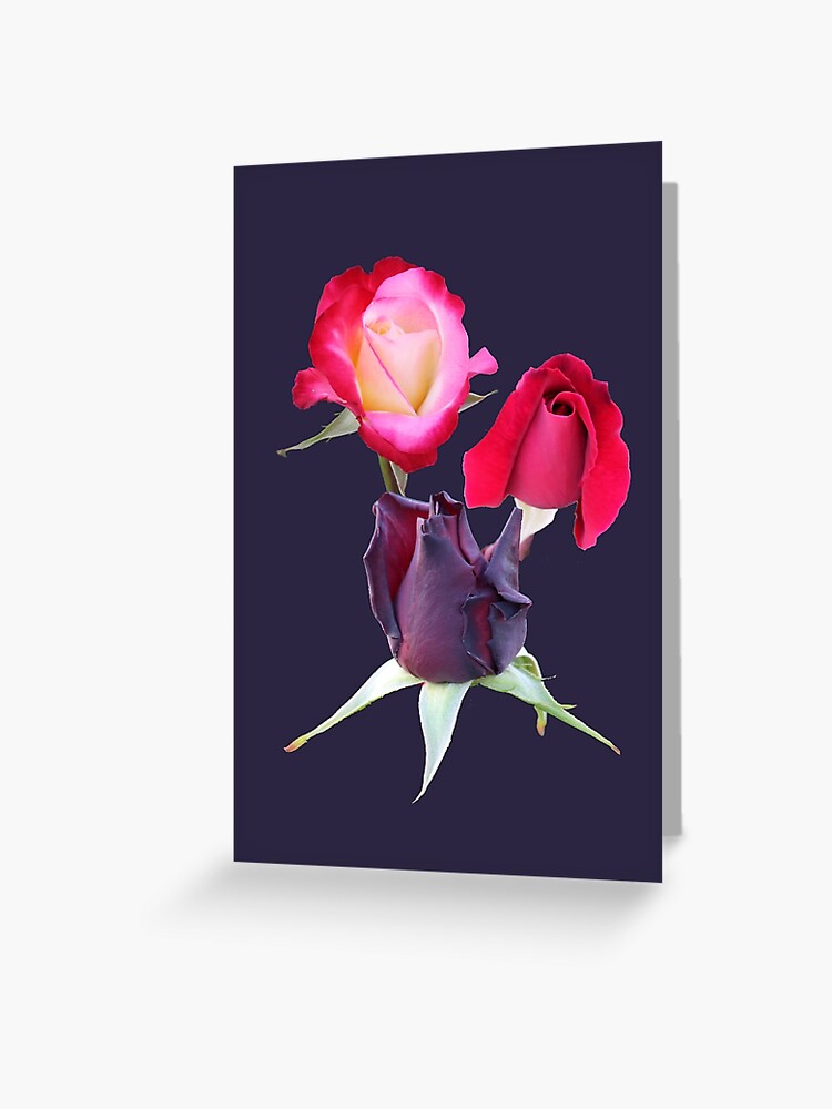Tarjetas de felicitación «Mezcla de rosas rojas, rosas y negras» de STHogan  | Redbubble