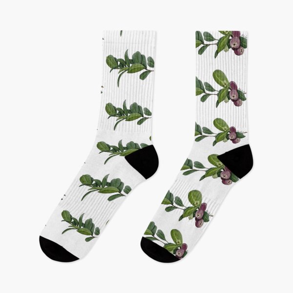 Item preview,  Illustration Bush branch with fruits in watercolor designed and sold by Malu-Iriarte.