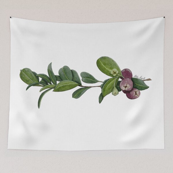 Item preview,  Illustration Bush branch with fruits in watercolor designed and sold by Malu-Iriarte.