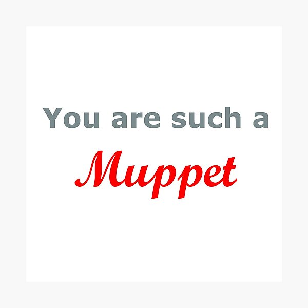 You are such a Muppet..... Photographic Print