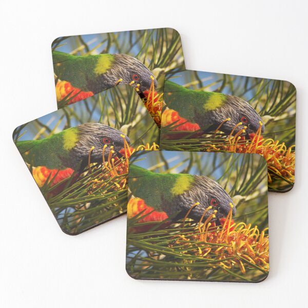 Item preview, Rainbow Lorikeet and Grevillea Honey Gem designed and sold by Ohlordi.
