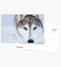 Lost in her eyes Postcards