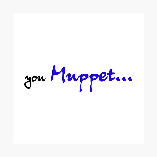 You Muppet Photographic Print