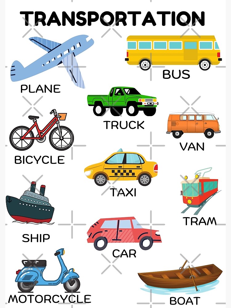 Vehicles Chart  Kids learning charts, Transportation preschool, English  lessons for kids