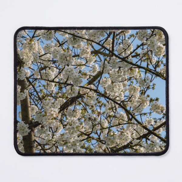 Item preview, blooming cherry tree designed and sold by OskiOnTour.