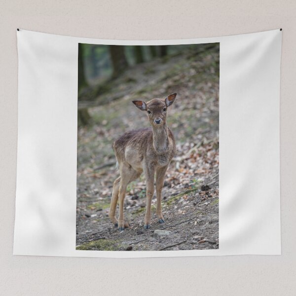 Item preview, fawn in Bretten Zoo designed and sold by OskiOnTour.