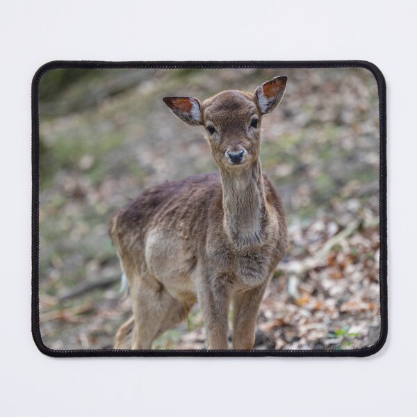 Item preview, fawn in Bretten Zoo designed and sold by OskiOnTour.