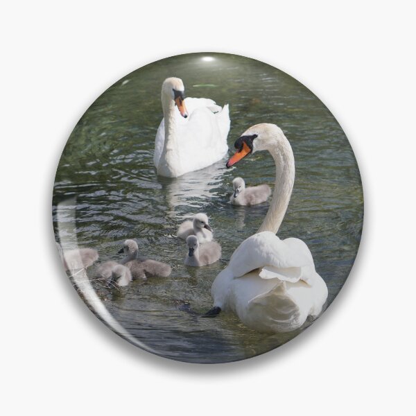 Item preview, swans with young designed and sold by distracted.